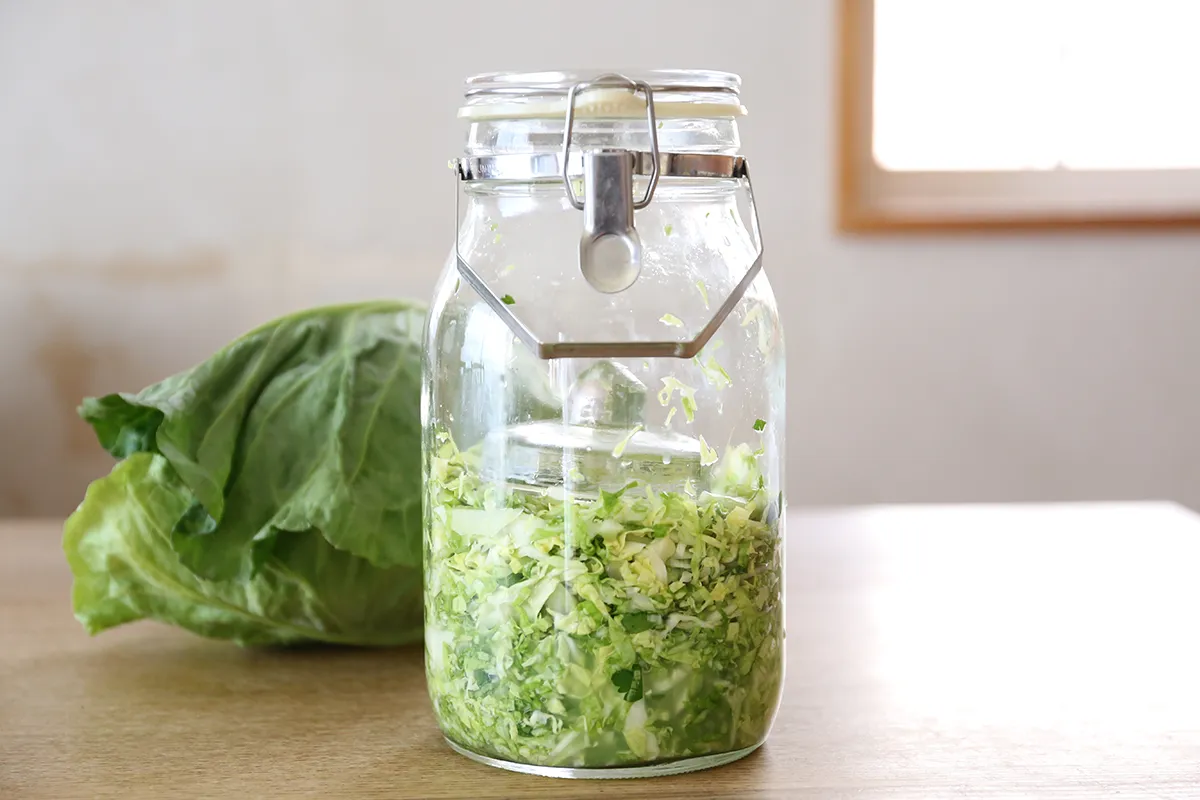 ザワークラウト